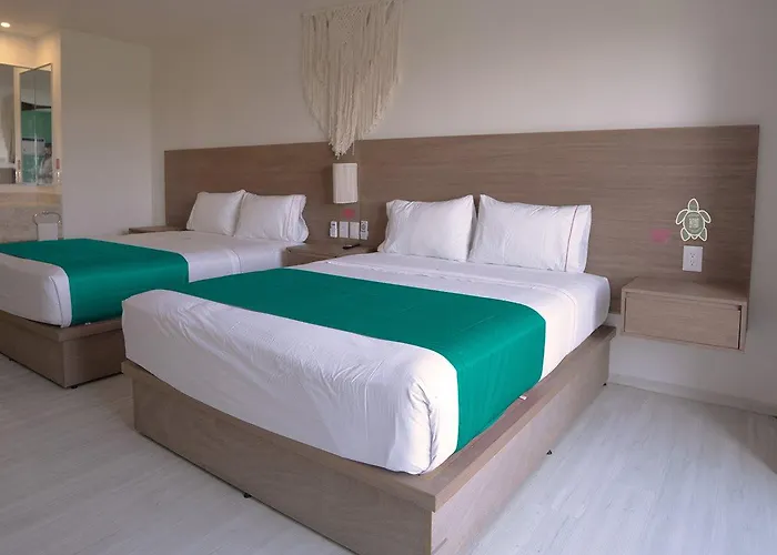 Hotel Siente & Cenote Club