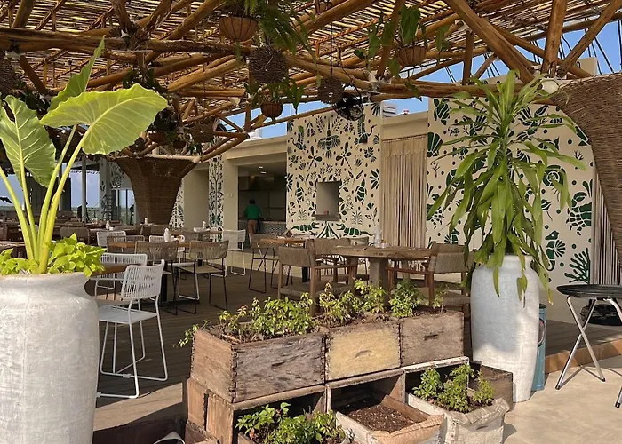 Hotel Siente & Cenote Club